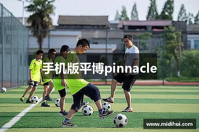 手机版平博pinnacle
